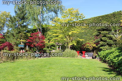 Stock image of Japanese garden with lawn, cloud trees, maples, bamboo, bonsai trees