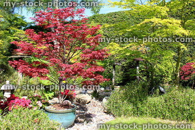 Stock image of Japanese garden with red / green maples (acer palmatum trees)