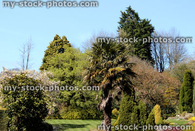 Stock image of beautiful landscaped garden with conifers and palm trees