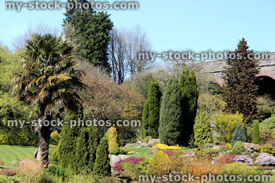 Stock image of beautiful landscaped garden with conifers and palm trees