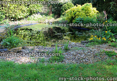 Stock image of an overgrown garden pond with liner showing 
