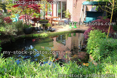 Stock image of koi pond in Japanese garden, water lilies, bonsai trees