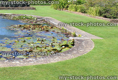 Stock image of pond with waterlilies, fountain, paving stones, graden water feature