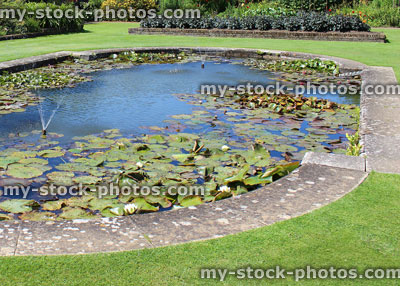 Stock image of pond with waterlilies, fountain, paving stones, graden water feature