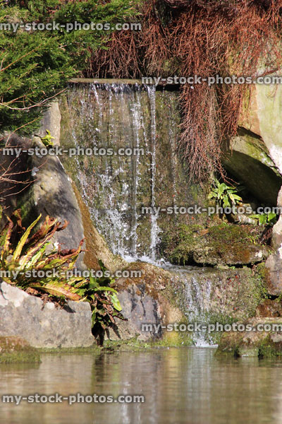 Stock image of watering cascading over rocks into pond, rockery garden