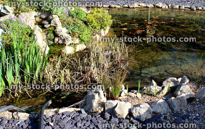 Stock image of garden fish pond with waterfall and rockery 