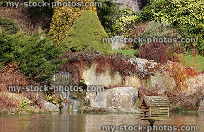 Stock image of rockery rock garden by pond, waterfall, dwarf conifers