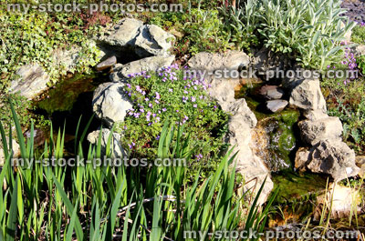Stock image of twin waterfalls running into garden fish pond (close up)