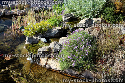 Stock image of garden fish pond with waterfall and rockery 