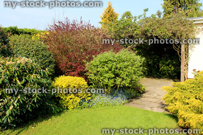 Stock image of clipped evergreen garden shrubs and mowed lawn grass