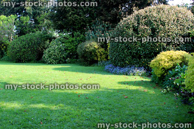 Stock image of clipped evergreen garden shrubs and mowed lawn grass