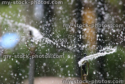 Stock image of garden sprinkler watering grass / flowers, irrigation with water droplets