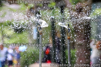 Stock image of rotating sprinkler watering garden, lawn grass and flower border