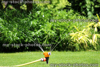 Stock image of garden sprinkler spraying water, watering lawn grass, flowers