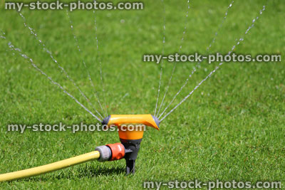 Stock image of garden sprinkler spraying water, watering lawn grass, mown