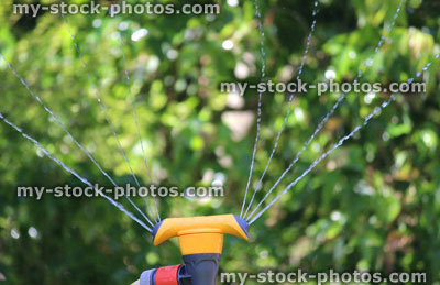 Stock image of garden sprinkler, spraying water, watering lawn grass, shrubs, trees