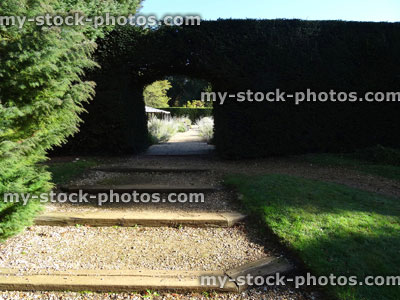 Stock image of rustic garden steps, wooden railway sleepers / planks, gravel, hedge arch