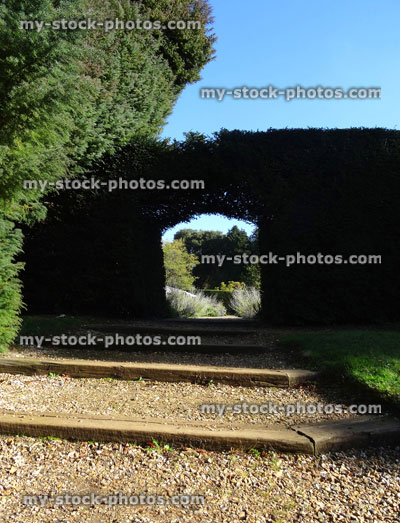 Stock image of rustic garden steps, wooden railway sleepers / planks, gravel, hedge arch