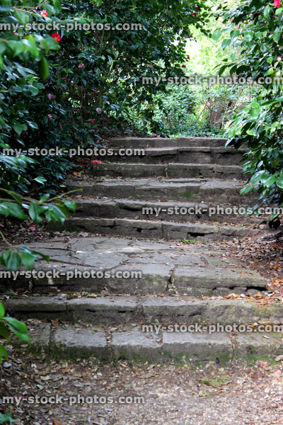 Stock image of stone steps leading to pathway in ornamental garden