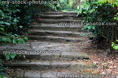 Stock image of stone steps leading to pathway in ornamental garden