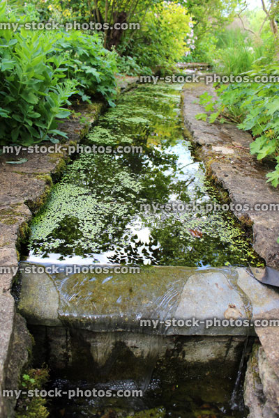 Stock image of small man made stream leading to waterfall / pond, water gardens