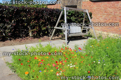 Stock image of wooden swing seat in wildflower garden, copper beech hedge