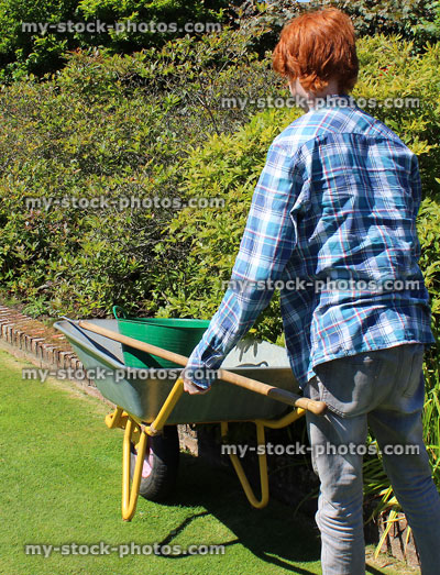 Stock image of young gardener pushing wheelbarrow, boy gardening, green lawn