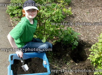 Stock image of boy gardening in woodland garden, weeding, digging
