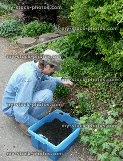 Stock image of person weeding a garden border