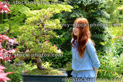 Stock image of young girl looking at bonsai tree, Satsuki azalea with flowers