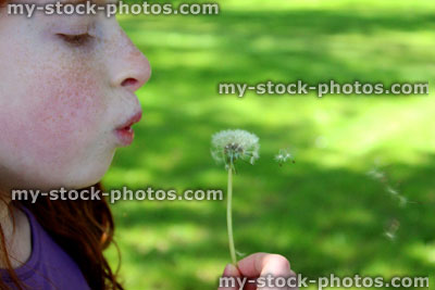 Stock image of pretty girl blowing seeds from a ripe dandelion