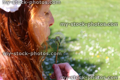 Stock image of girl / child blowing seeds from a ripe dandelion in garden