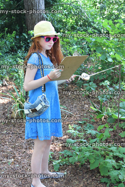 Stock image of girl with clipboard following nature trail / woodland quiz