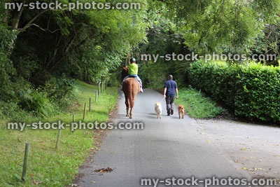 Stock image of young girl enjoying horse riding lesson, father walking dogs, countryside lane