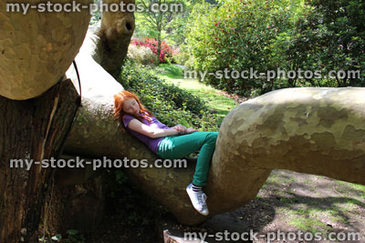 Stock image of girl lying on trunk of fallen London plane tree