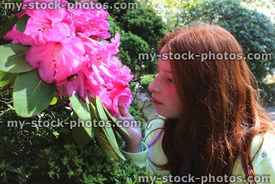 Stock image of girl smelling fragrant pink flower on garden rhododendron bush