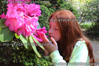 Stock image of girl smelling fragrant pink flower on garden rhododendron bush