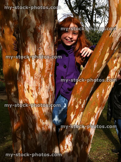 Stock image of girl climbing a Myrtle Tree in the Autumn 