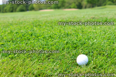 Stock image of golf ball in grass on golf course, sandy bunker (close up)