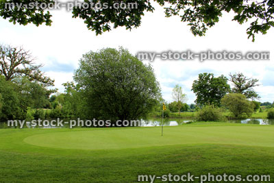 Stock image of putting green / dwarf Bermuda grass and pond on golf course