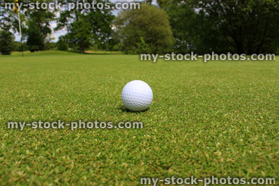 Stock image of golf ball in grass on golf course putting green (close up)