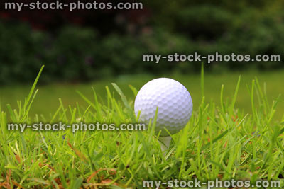 Stock image of golf ball in grass on golf course, in rough (close up)