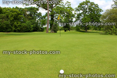 Stock image of golf ball in grass on golf course putting green (close up)