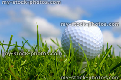 Stock image of golf ball in grass on golf course, blue sky (close up)