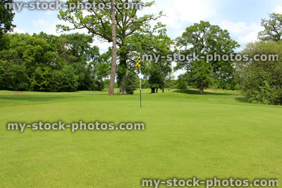Stock image of immaculate lawn / putting green grass on golf course