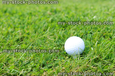 Stock image of golf ball in grass on golf course, in rough (close up)