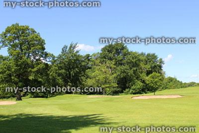 Stock image of golf course with sandy bunker trap, trees, rough grass, fairways