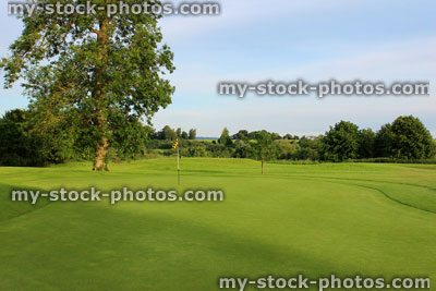Stock image of putting green, fine grass, flag and hole on golf course