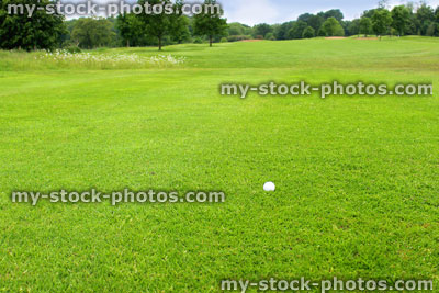 Stock image of golf ball on fairway at golf course, tee off