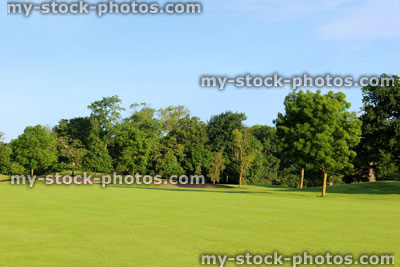 Stock image of golf course with green grass, trees, sandy bunkers, hazards, sky